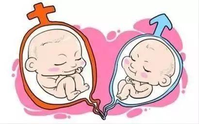 关于借卵代孕哪里做的最好
